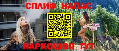 PSILOCYBIN Ярославль