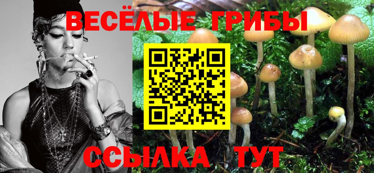 Галлюциногенные грибы Magic Shrooms Тихорецк